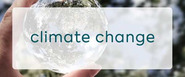 AIRAH focus on climate change