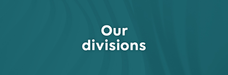 AIRAH's divisions